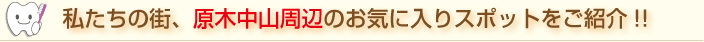 お気に入りスポットのご紹介