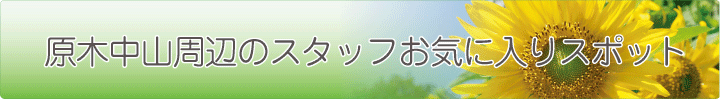 原木中山周辺のお気に入りスポット